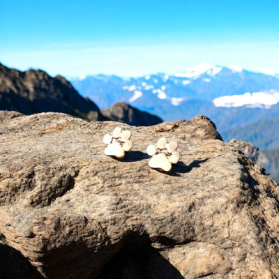 Pendientes en forma de pata hipoalergénicos
